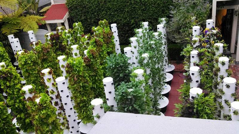 Gardening Tower Garden