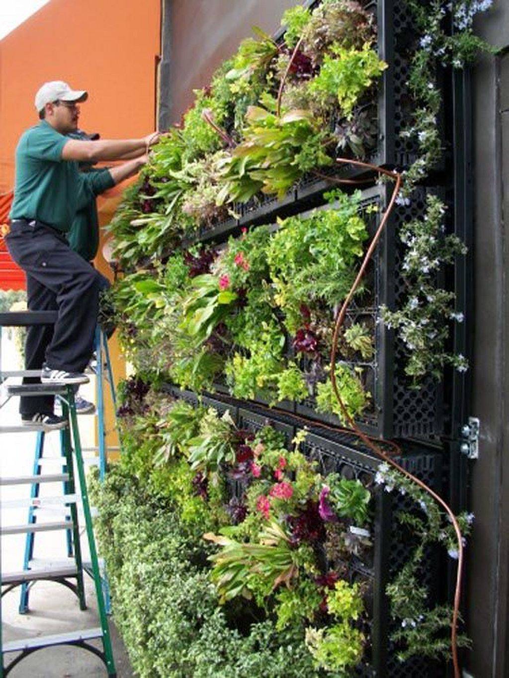 Vertical Hydroponics Gardening Ideas