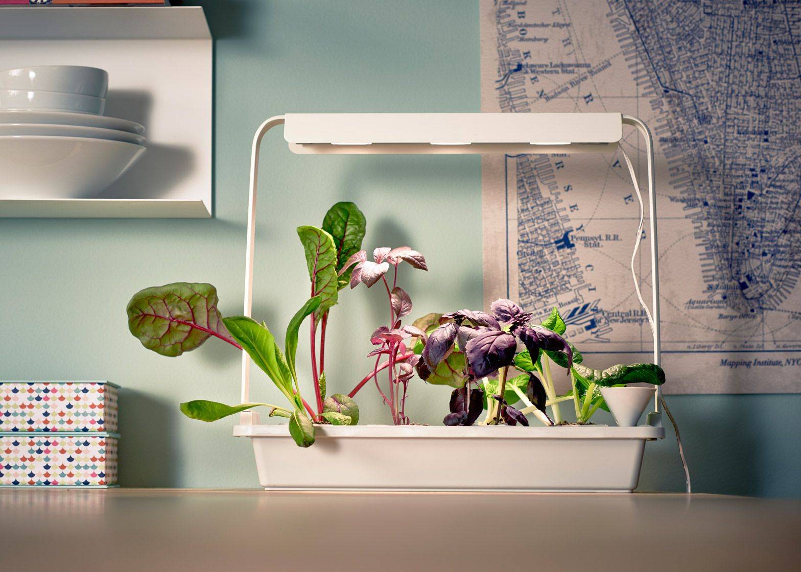 Inspiring Hydroponic Gardening Ideas