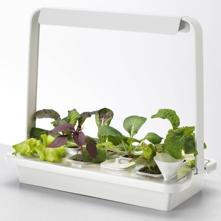 Easy Hydroponic Garden Ikea Way