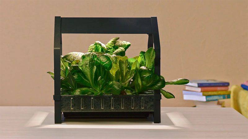 Easy Hydroponic Garden Ikea Way