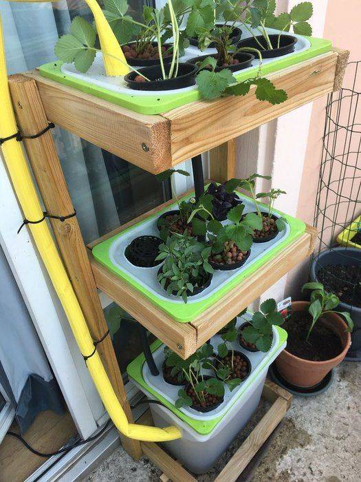 Hydroponic Gardening
