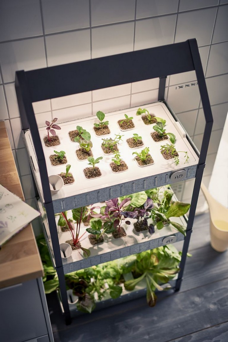 21 IKEA Indoor Hydroponic Garden Ideas You Should Check | SharonSable