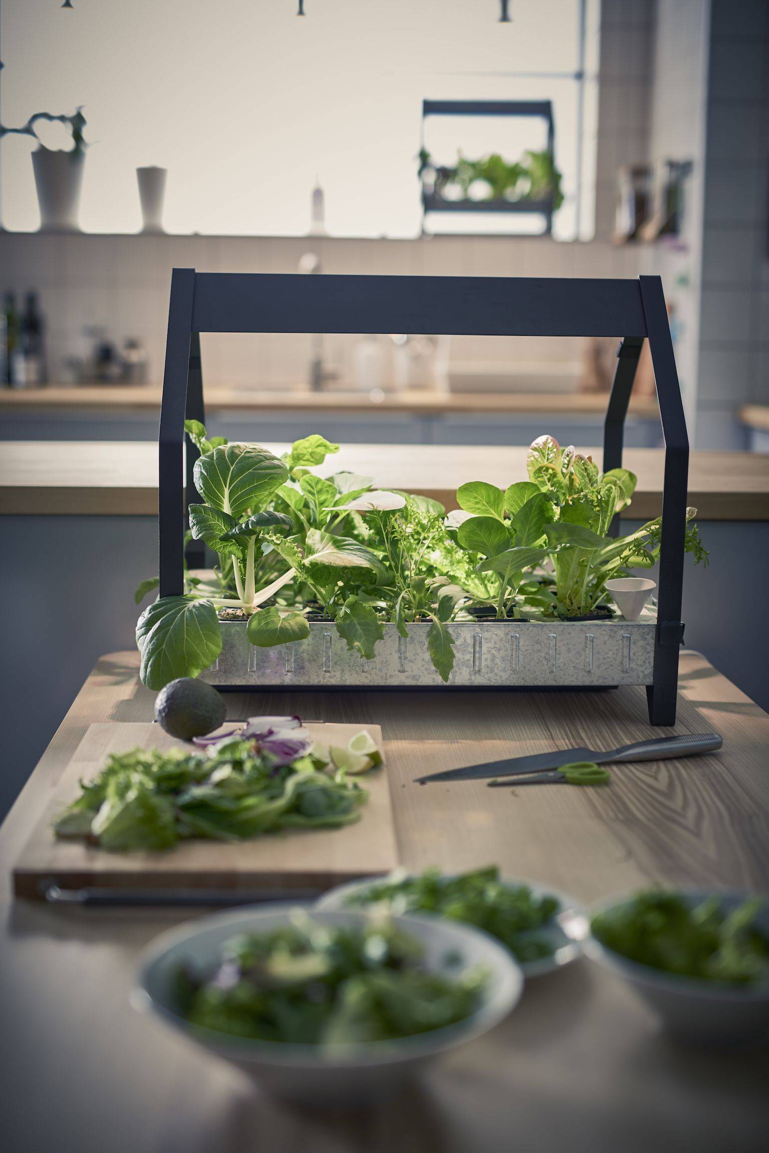 21 IKEA Indoor Hydroponic Garden Ideas You Should Check | SharonSable