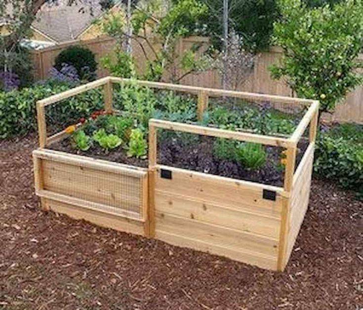 Square Foot Gardening Outdoor Gardens
