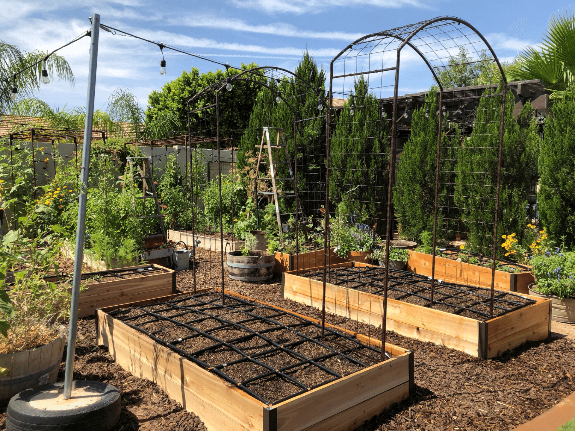 Raised Bed Garden Design Ideas