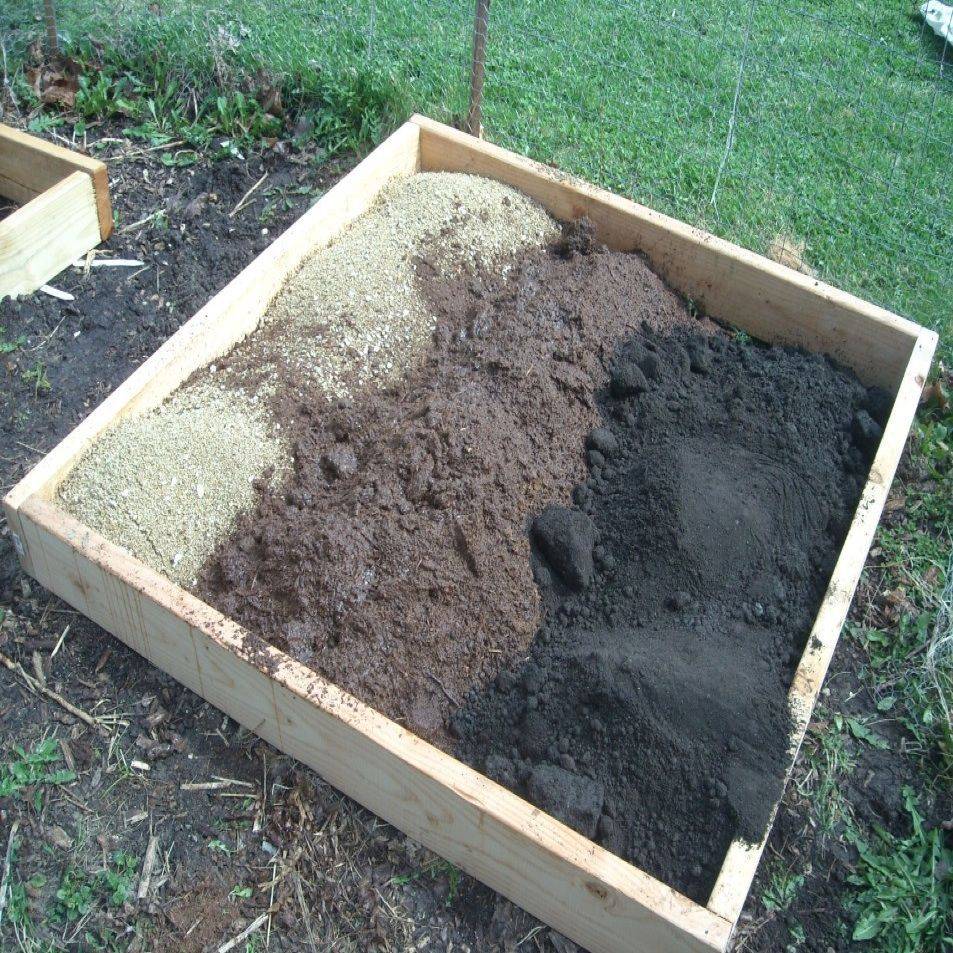 Square Foot Gardening Vegetable