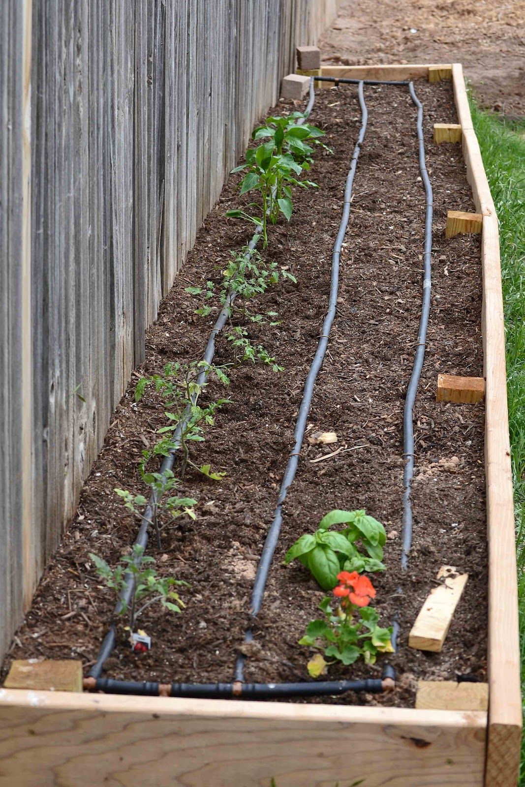 Squarefoot Gardening