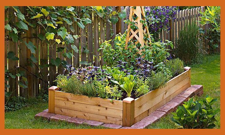 Square Foot Gardening