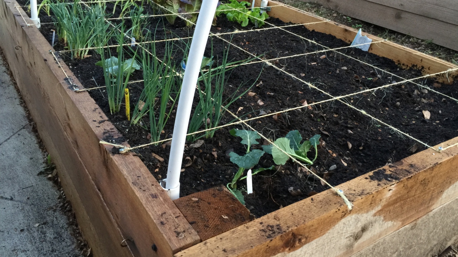 An Easy Squarefoot Garden