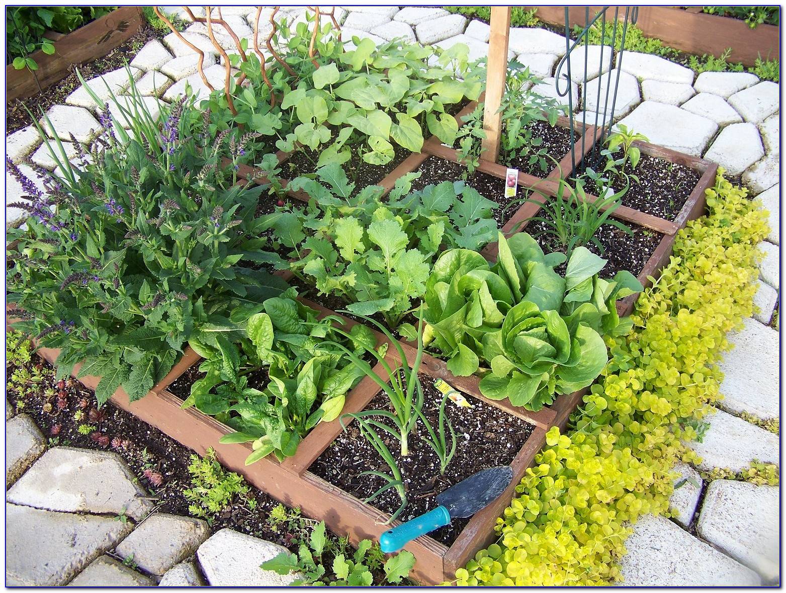 Inspiring Square Foot Gardening Plansideas