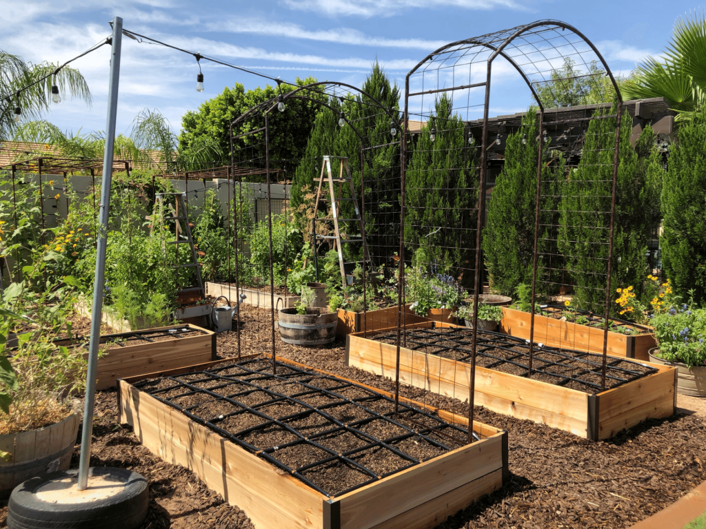 21 Square Foot Gardening Spacing Ideas You Should Check SharonSable