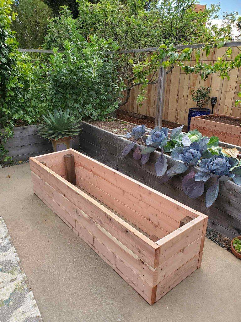 Raised Bed Garden Design Ideas