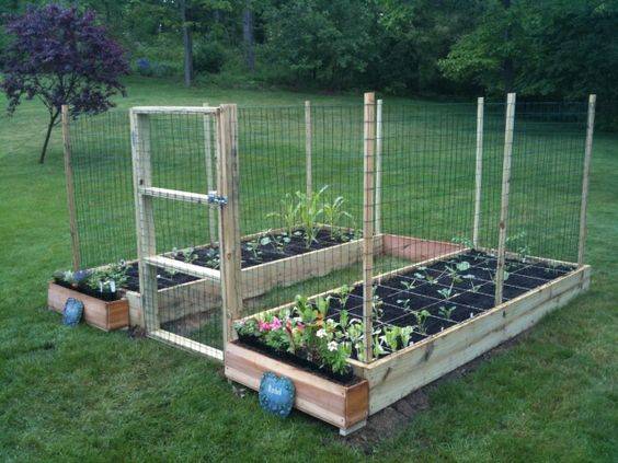 All New Square Foot Gardening Square Foot Gardening