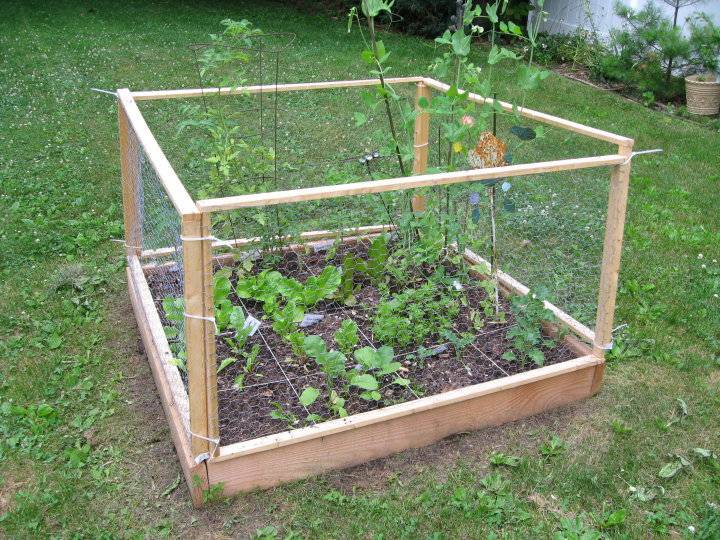 Square Foot Gardening