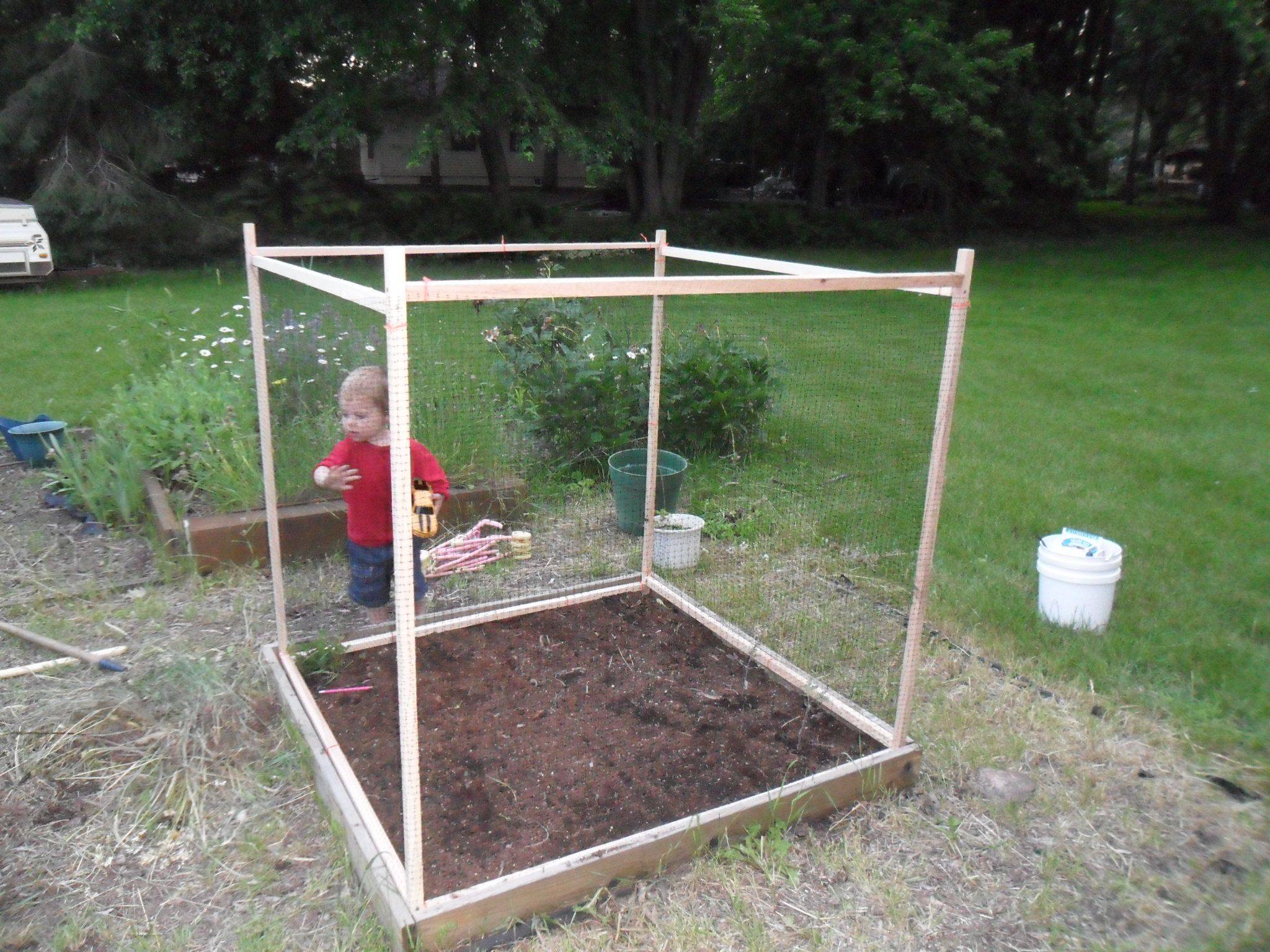 21 Square Foot Garden Fence Ideas Worth a Look SharonSable