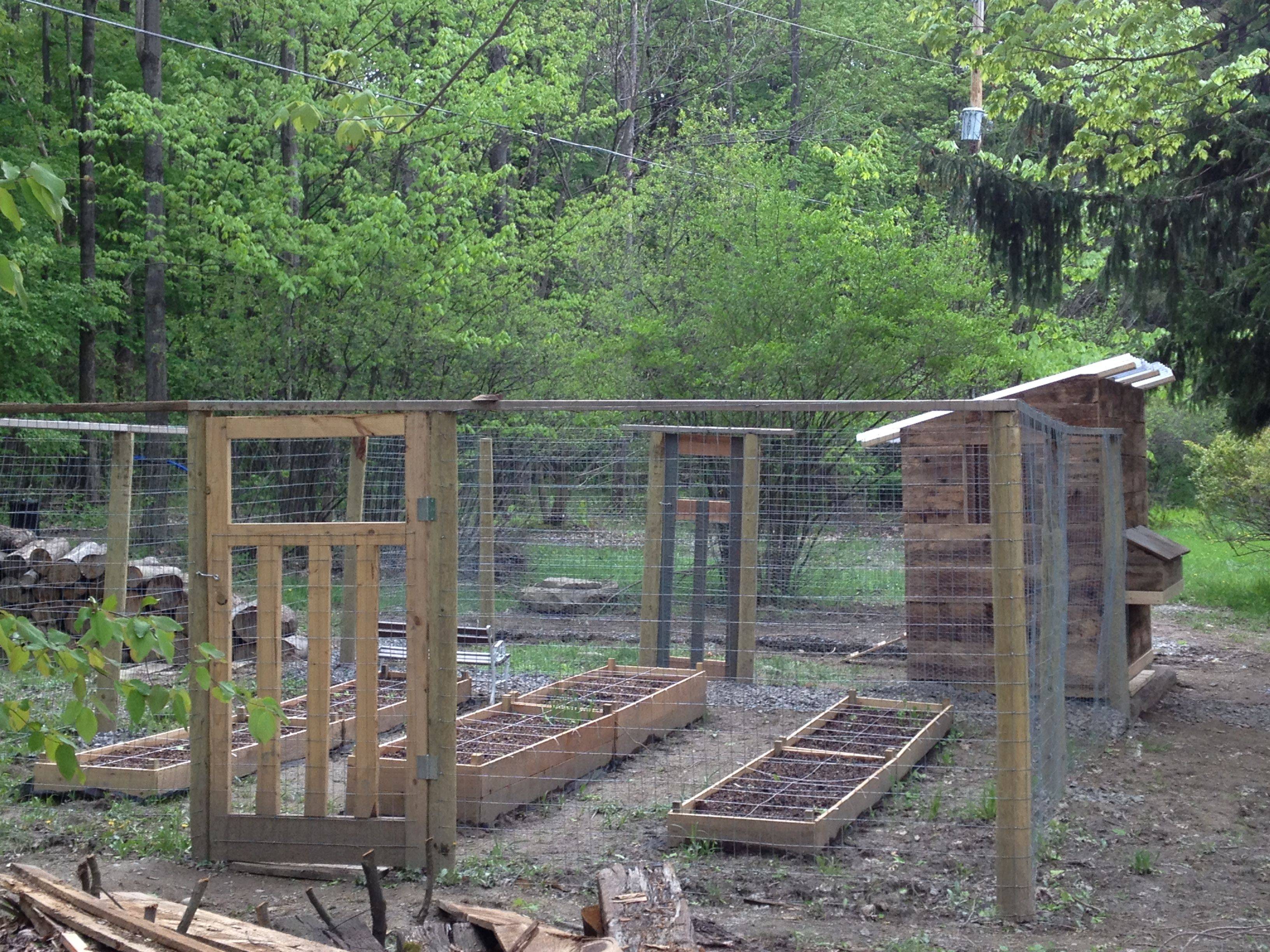 Garden Fence Trellis