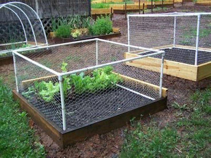 My First Square Foot