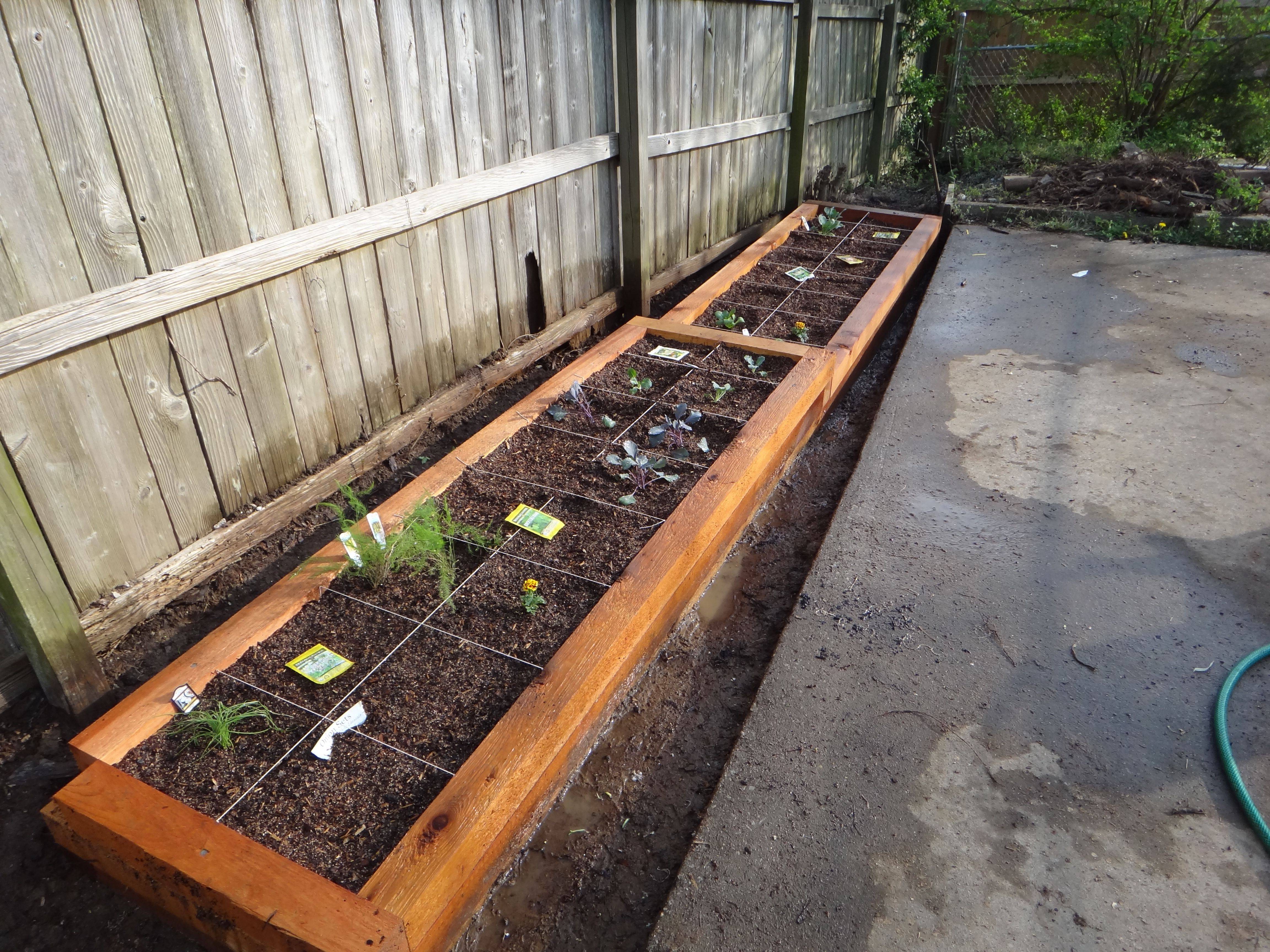 Reasons For Chocolate Square Foot Gardening