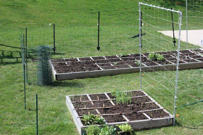 Square Foot Garden Beds