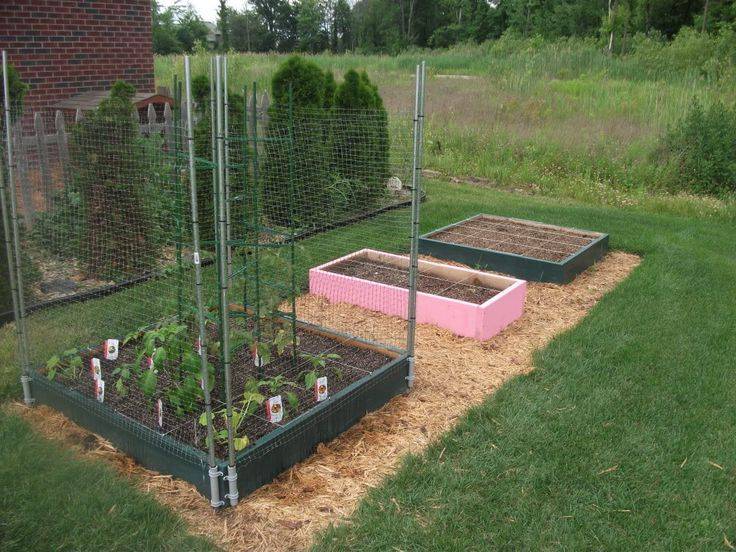 St Louis Square Foot Gardening Plan Vegetable Garden Layout Plan