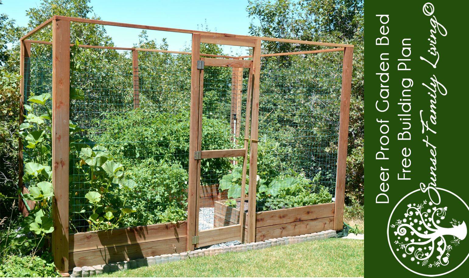 Tonis Square Foot Garden