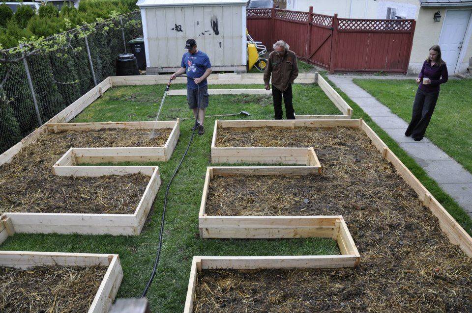 18 Raised Bed Lasagna Gardening Ideas To Consider SharonSable