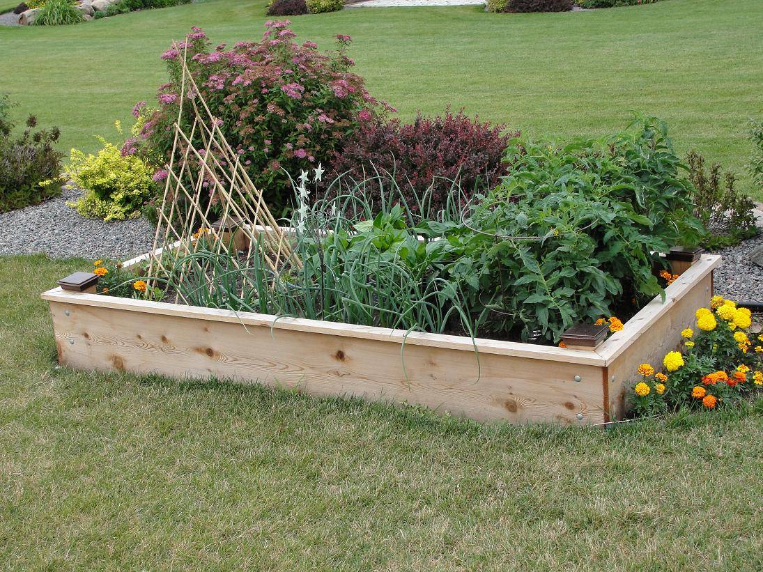 18 Raised Bed Lasagna Gardening Ideas To Consider SharonSable