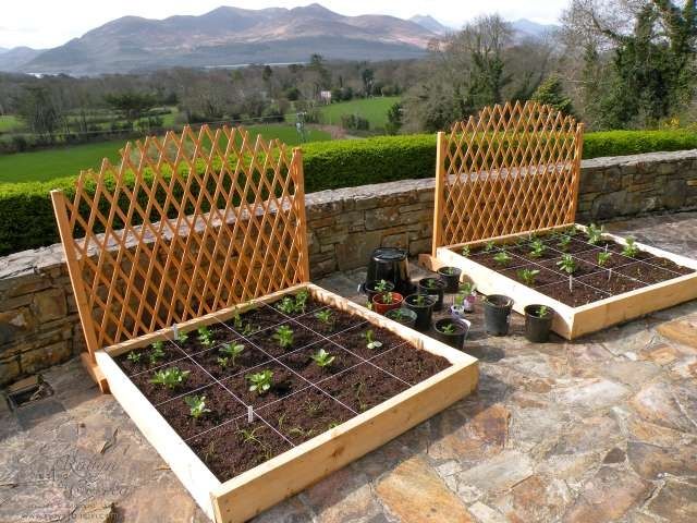 The Square Foot Gardening Foundation Fall Garden