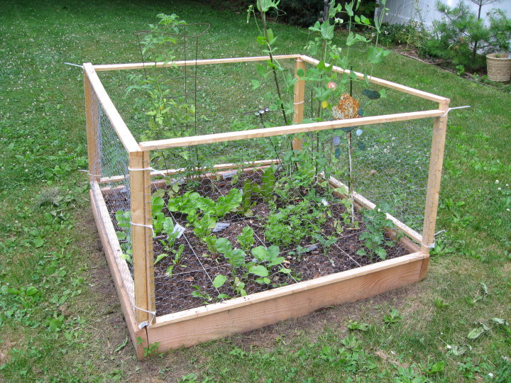 Deer Proof Cedar Complete Raised Garden Bed Kit X Diy Garden