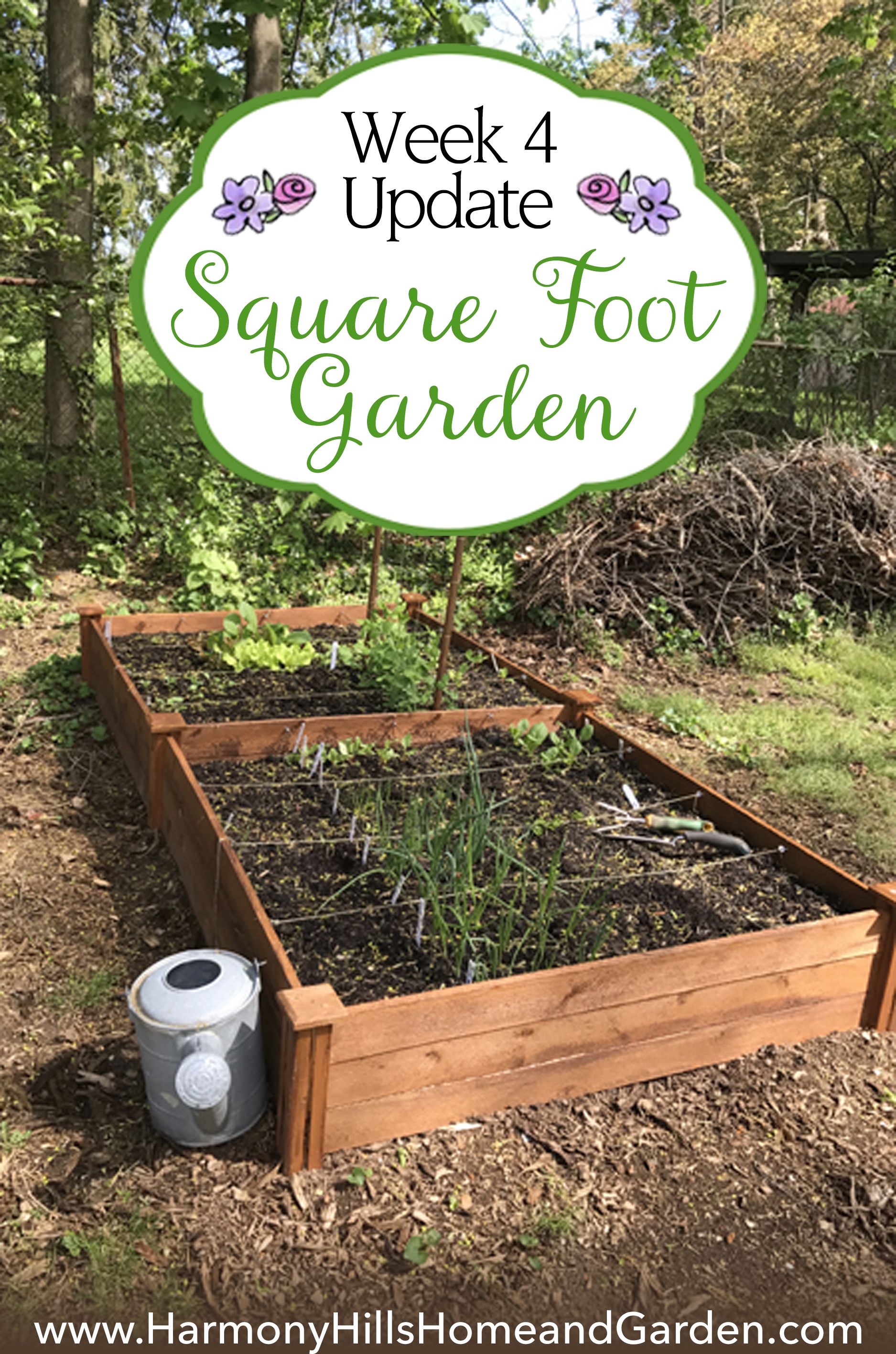 Square Foot Gardening Decoredo