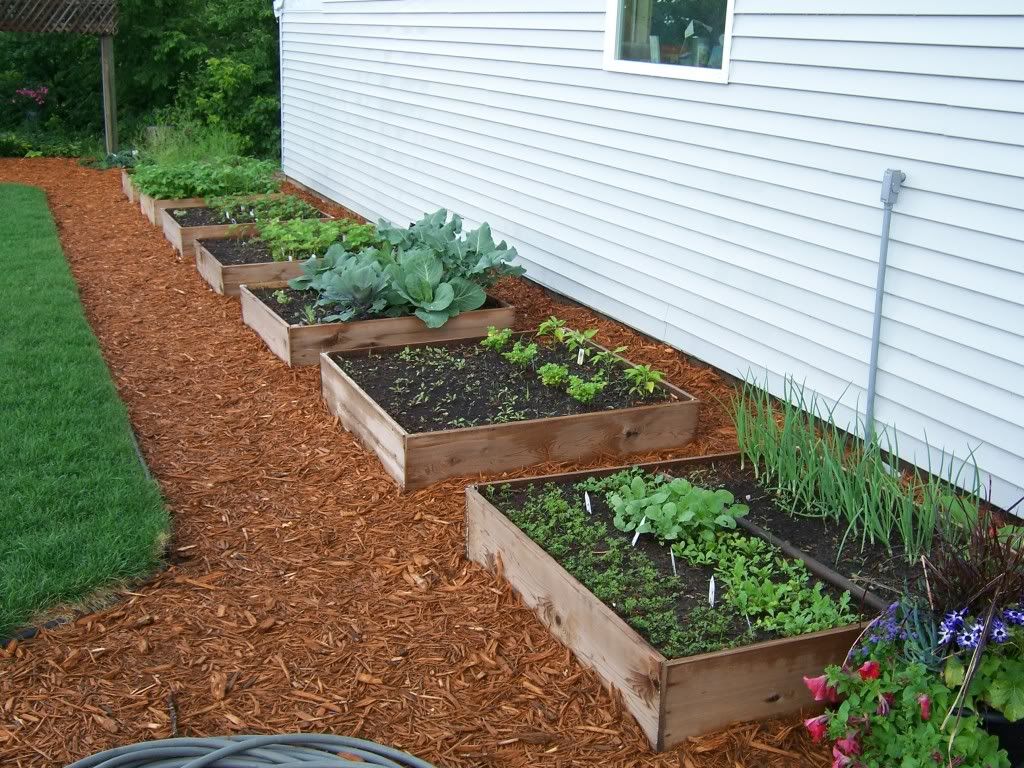 Square Foot Gardening