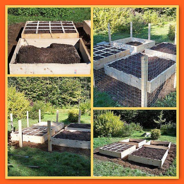 My Amazing Cinder Block Square Foot Garden Planting