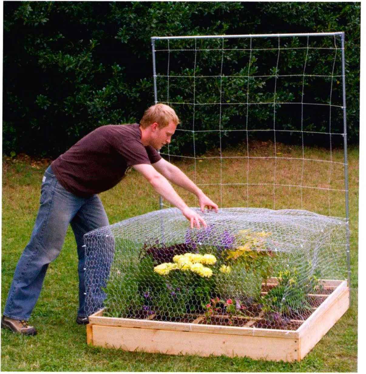 All New Square Foot Gardening Square Foot Gardening
