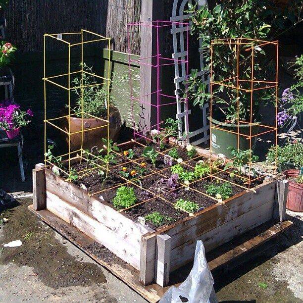 All New Square Foot Gardening Square Foot Gardening