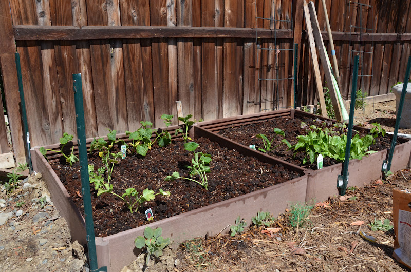 Tomato Cages Creative Ideas