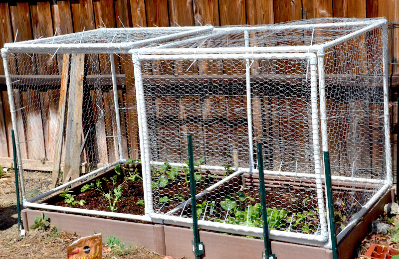 Square Foot Gardening