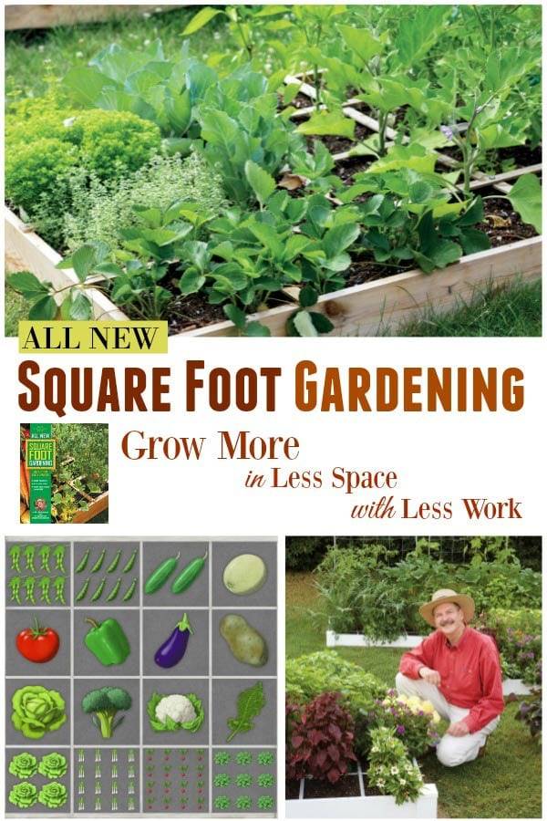 Square Foot Gardening Pro Tips Bob Vila