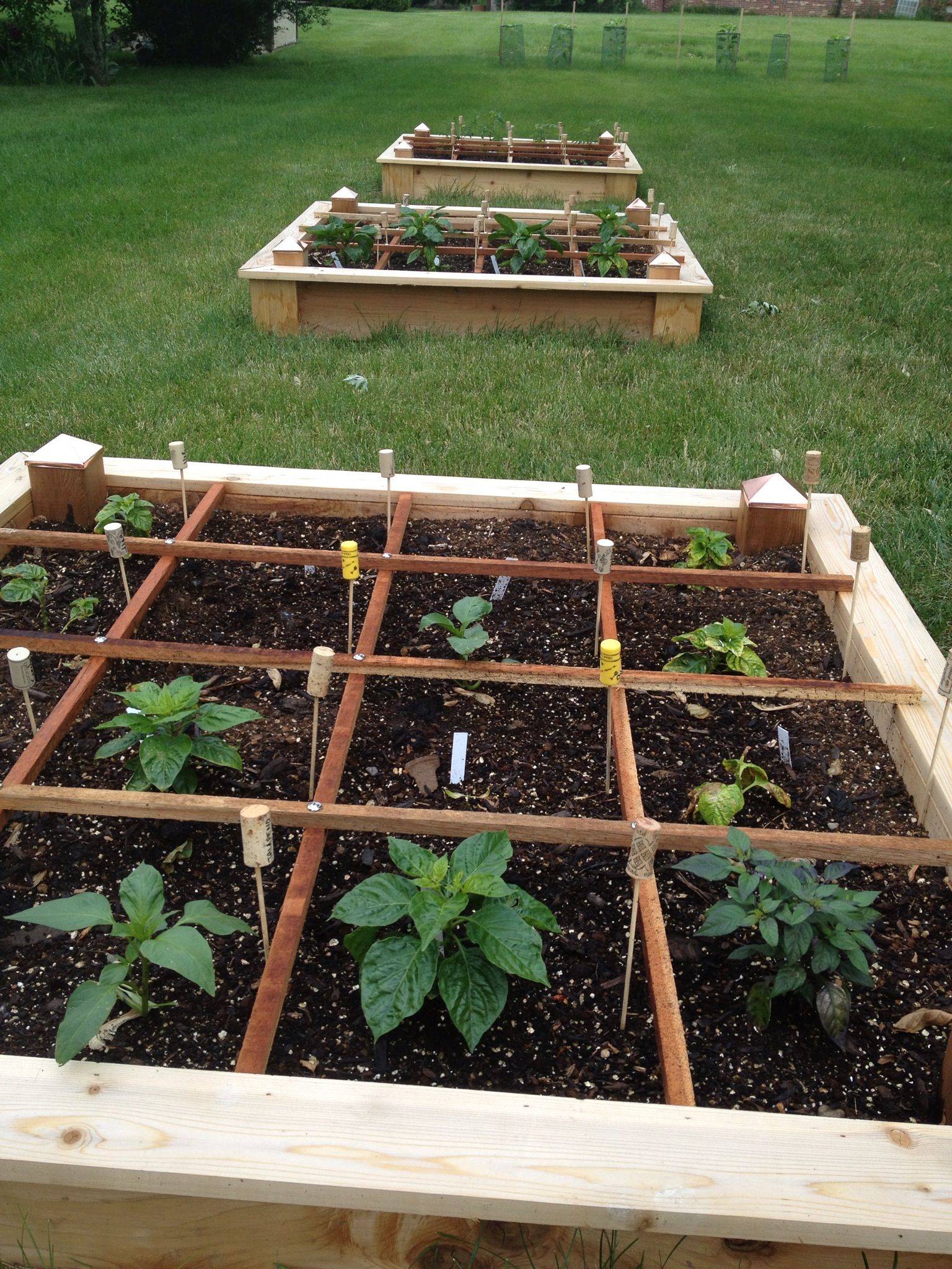 A Dome Greenhouse