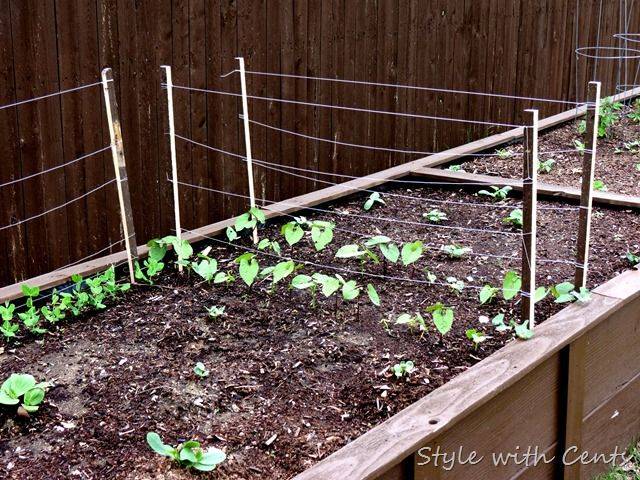 Seed Starting Supplies And Seedlings Growing In Greenhouse In