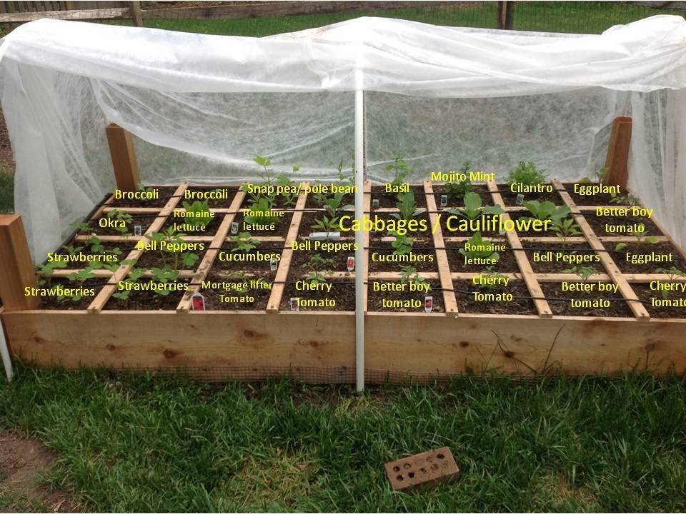 Square Foot Gardening
