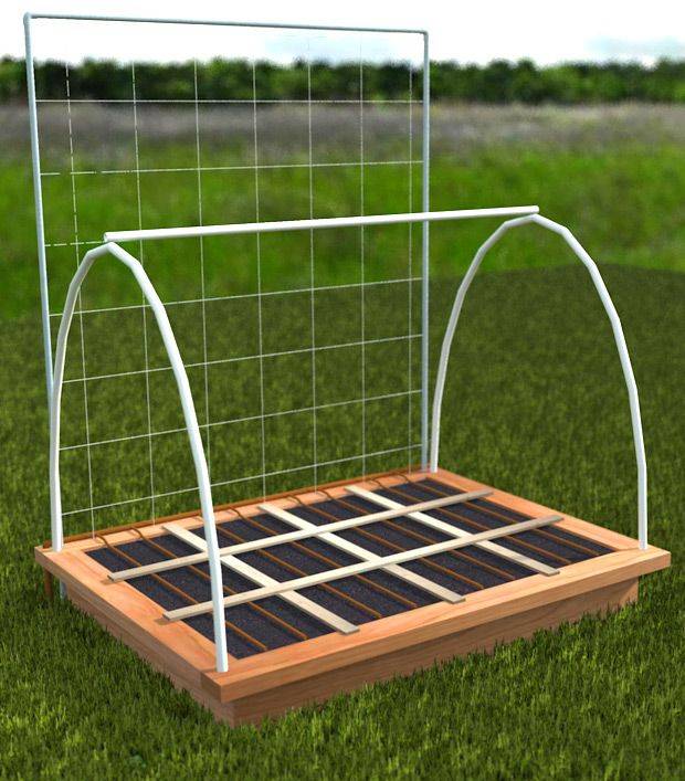 Square Foot Gardening Success