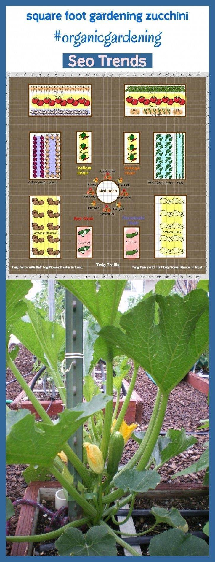 Square Foot Gardening Layout