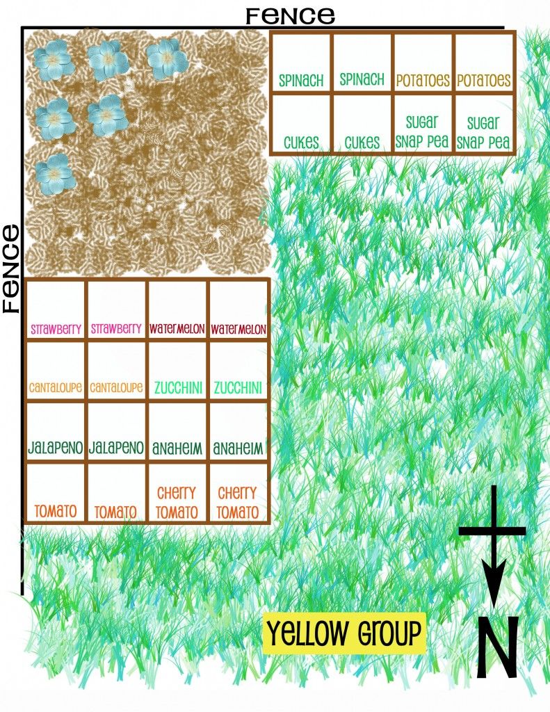 Square Foot Gardening