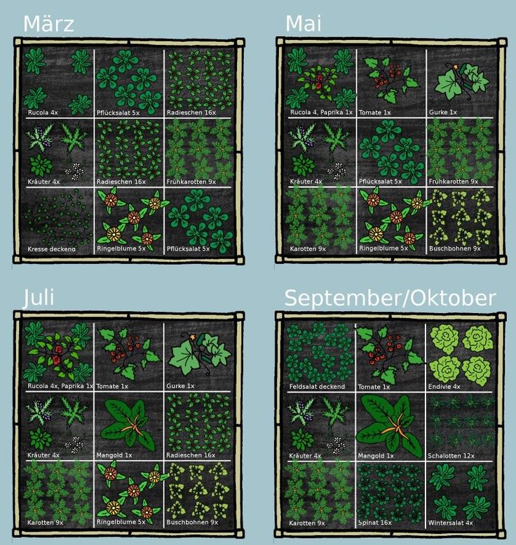 North Texas Square Foot Gardening Plan