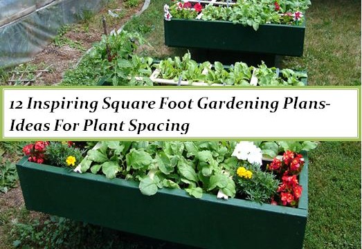 Square Foot Gardening