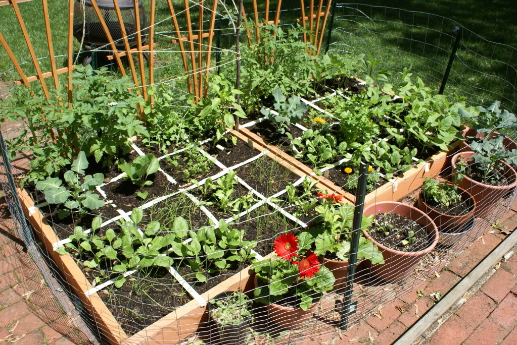 Square Foot Herb Garden Layout Outdoor Decor Ideas