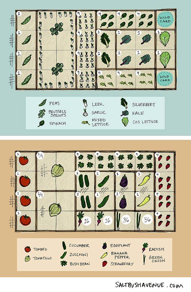 Inspiring Square Foot Gardening Plansideas