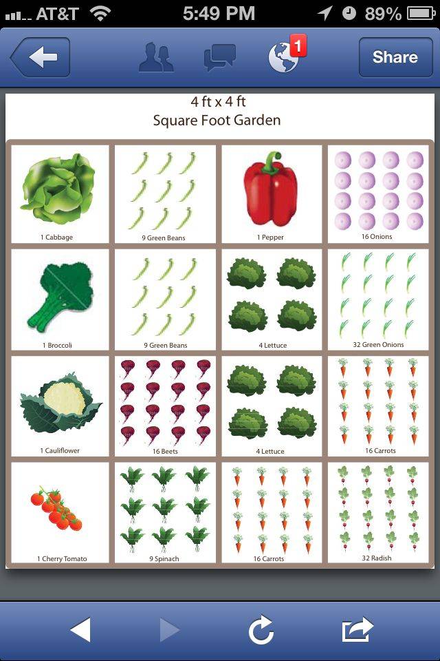 Luxury Square Foot Gardening Layout