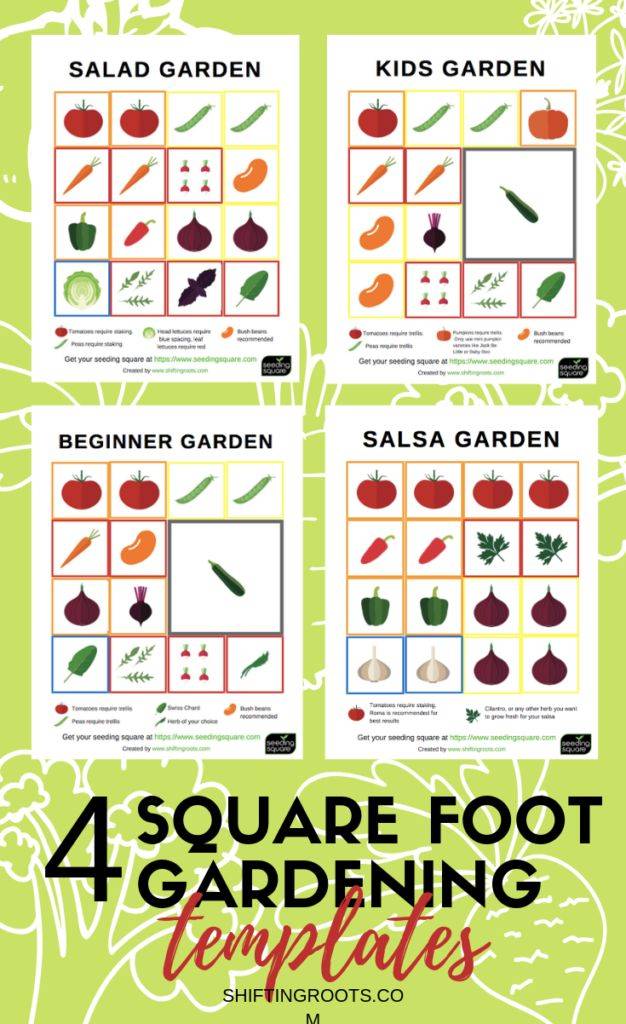 Garden Layout Vegetable